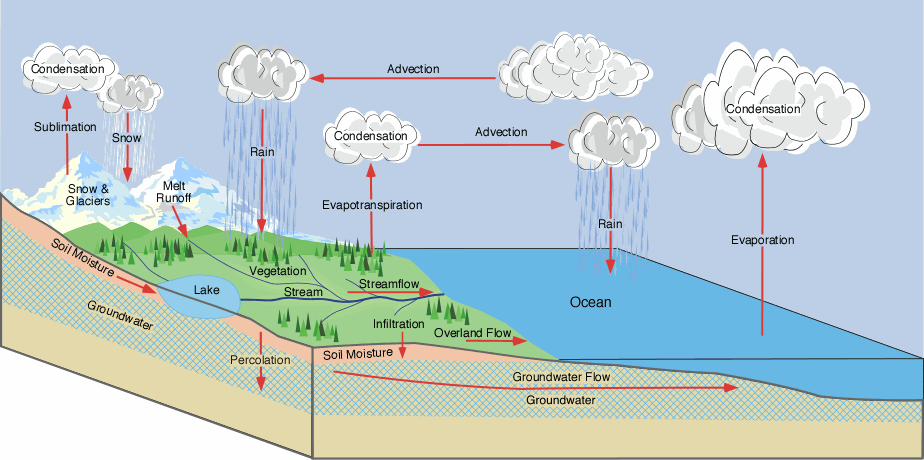 hydrologic cycle model
