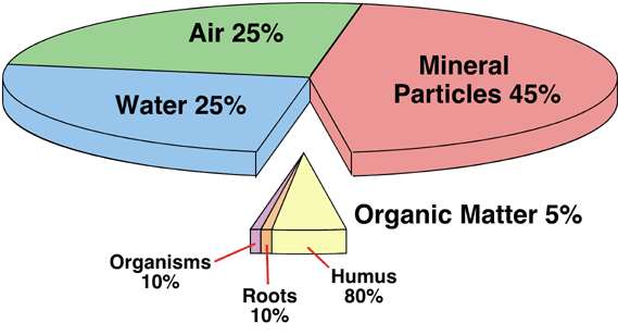 10 t Introduction To Soils